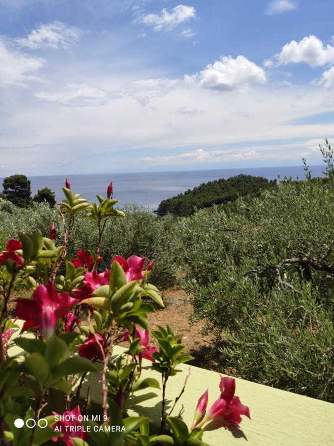 Апартаменты Elia House 1 Astoning Sea View Among The Olive Trees Патитири Экстерьер фото