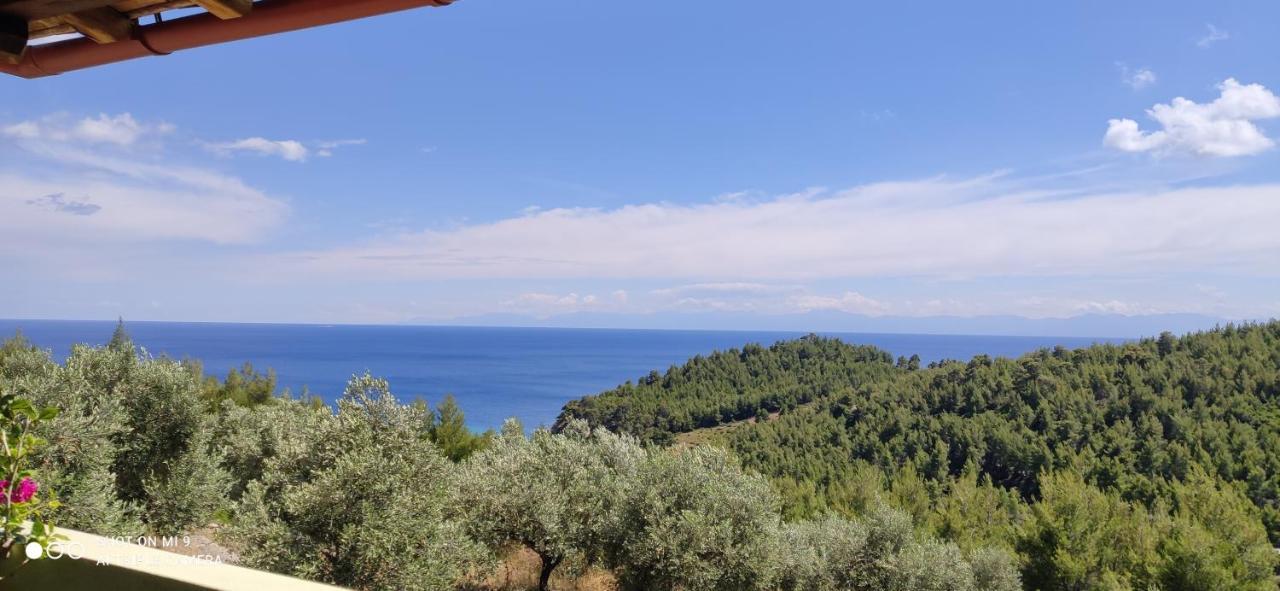 Апартаменты Elia House 1 Astoning Sea View Among The Olive Trees Патитири Экстерьер фото