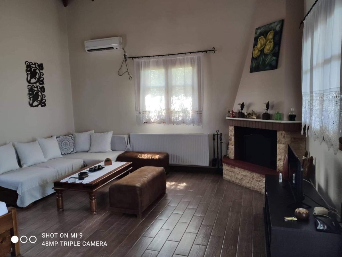 Апартаменты Elia House 1 Astoning Sea View Among The Olive Trees Патитири Экстерьер фото