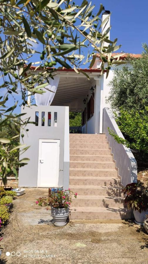 Апартаменты Elia House 1 Astoning Sea View Among The Olive Trees Патитири Экстерьер фото